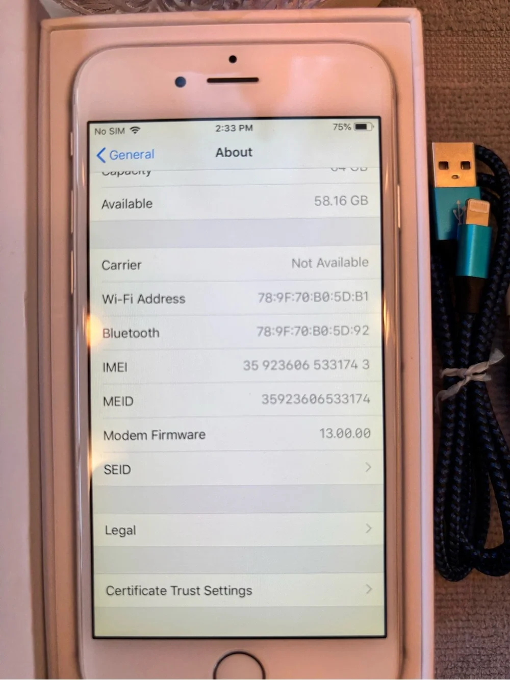Apple iPhone6 64GB White with Blue Braided Charging Cable and White Earbuds